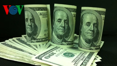 Kiều hối năm 2012 đạt 10 tỷ USD ảnh 1 Kiều hối năm 2012 đạt 10 tỷ USD ảnh 1