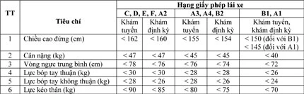 Lại đề xuất “ngực lép” không được lái xe ảnh 2 Lại đề xuất “ngực lép” không được lái xe ảnh 2