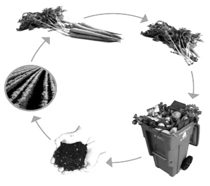 Loay hoay tìm… rác cho phân compost ảnh 2 Loay hoay tìm… rác cho phân compost ảnh 2