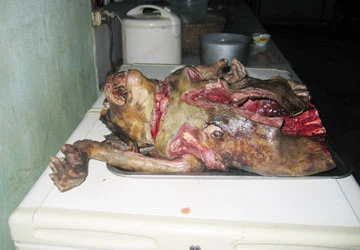 Tiếng kêu cứu ở Phong Nha-Kẻ Bàng ảnh 1 Tiếng kêu cứu ở Phong Nha-Kẻ Bàng ảnh 1