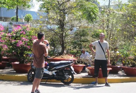 Miệt Hậu Giang: Những nẻo đường xuân ảnh 8 Miệt Hậu Giang: Những nẻo đường xuân ảnh 8