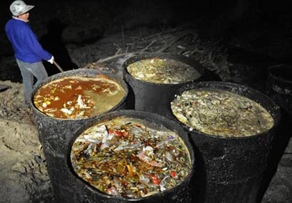 Nội táng thối rữa, hô biến thành… dầu ăn ảnh 1 Nội táng thối rữa, hô biến thành… dầu ăn ảnh 1