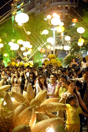 Khai mạc Đường hoa Nguyễn Huệ Tết Quý Tỵ 2013 ảnh 8