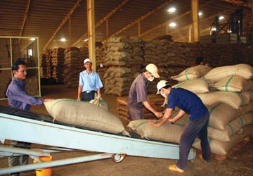 Nợ đọng thuế gần 65.000 tỉ đồng ảnh 1 Nợ đọng thuế gần 65.000 tỉ đồng ảnh 1