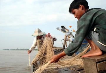 Cá quý đi vào huyền thoại ảnh 1 Cá quý đi vào huyền thoại ảnh 1