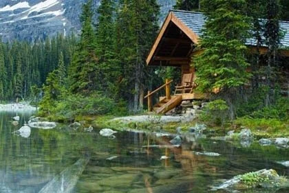Lạ lùng những ngôi nhà cổ tích giữa rừng ảnh 6