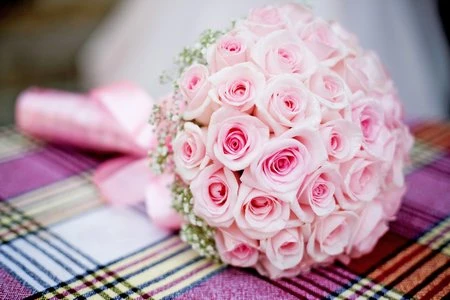 Đẹp ngỡ ngàng bộ sưu tập hình nền “mùa xuân” ảnh 24 Đẹp ngỡ ngàng bộ sưu tập hình nền “mùa xuân” ảnh 24