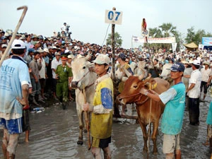 70 đội ở cả hai giải phong trào và chuyên nghiệp chuẩn bị vào vạch xuất phát. 70 đội ở cả hai giải phong trào và chuyên nghiệp chuẩn bị vào vạch xuất phát.