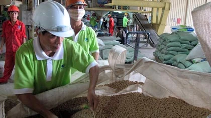 “Nuốt chửng” ngành chăn nuôi ảnh 1