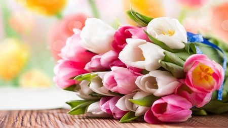 Đẹp ngỡ ngàng bộ sưu tập hình nền “mùa xuân” ảnh 25 Đẹp ngỡ ngàng bộ sưu tập hình nền “mùa xuân” ảnh 25