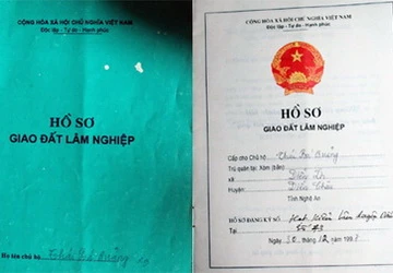 Cán bộ xã lén lút “thay mặt” dân bán hàng chục ha rừng! ảnh 2