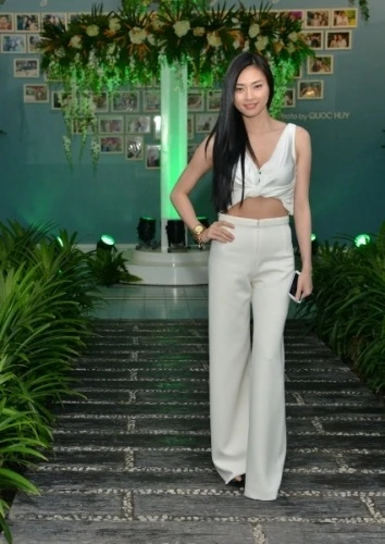 Ngô Thanh Vân: "Muốn có con nhưng không làm mẹ đơn thân" ảnh 1 Ngô Thanh Vân: "Muốn có con nhưng không làm mẹ đơn thân" ảnh 1