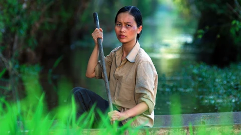 'Cánh đồng bất tận' xuất khẩu sang Mỹ ảnh 1 'Cánh đồng bất tận' xuất khẩu sang Mỹ ảnh 1