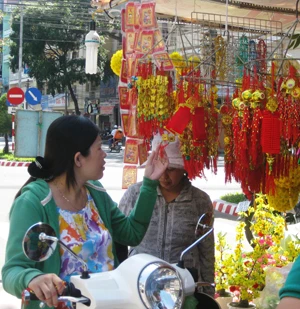 Miệt Hậu Giang: Những nẻo đường xuân ảnh 6 Miệt Hậu Giang: Những nẻo đường xuân ảnh 6