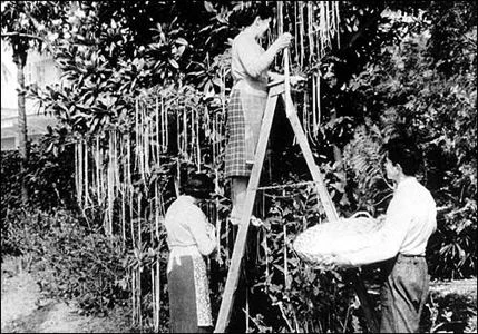 Những cú lừa "Cá tháng Tư" kinh thiên trong lịch sử ảnh 1 Những cú lừa "Cá tháng Tư" kinh thiên trong lịch sử ảnh 1