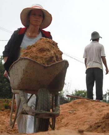 Đổ xô đào đá cảnh ở nghĩa địa ảnh 6 Đổ xô đào đá cảnh ở nghĩa địa ảnh 6