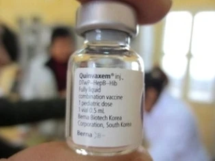 Tạm ngừng ngay việc sử dụng vắcxin Quinvaxem inj ảnh 1
