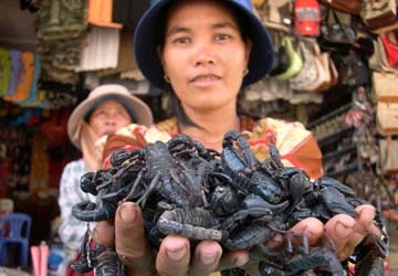 Bóng hồng "chơi" với thú dữ ảnh 1 Bóng hồng "chơi" với thú dữ ảnh 1