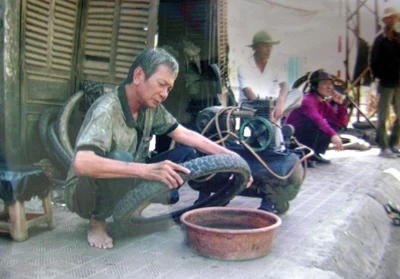 Nghệ sĩ Trần Lượng: Tình cờ đóng phim, viết báo ảnh 2 Nghệ sĩ Trần Lượng: Tình cờ đóng phim, viết báo ảnh 2