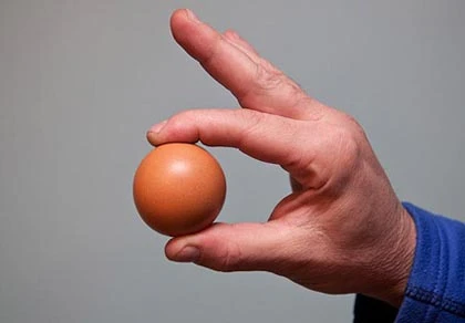 Phát hiện quả trứng gà “tròn đến hoàn hảo” ảnh 1 Phát hiện quả trứng gà “tròn đến hoàn hảo” ảnh 1