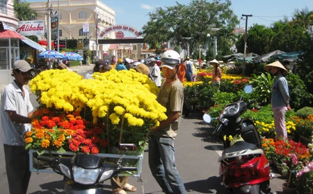 Miệt Hậu Giang: Những nẻo đường xuân ảnh 5 Miệt Hậu Giang: Những nẻo đường xuân ảnh 5