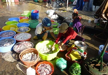 Mực ngon nhờ... hóa chất! ảnh 1