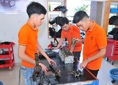 Tung học bổng ‘khủng’ để hút thí sinh giỏi vào đại học