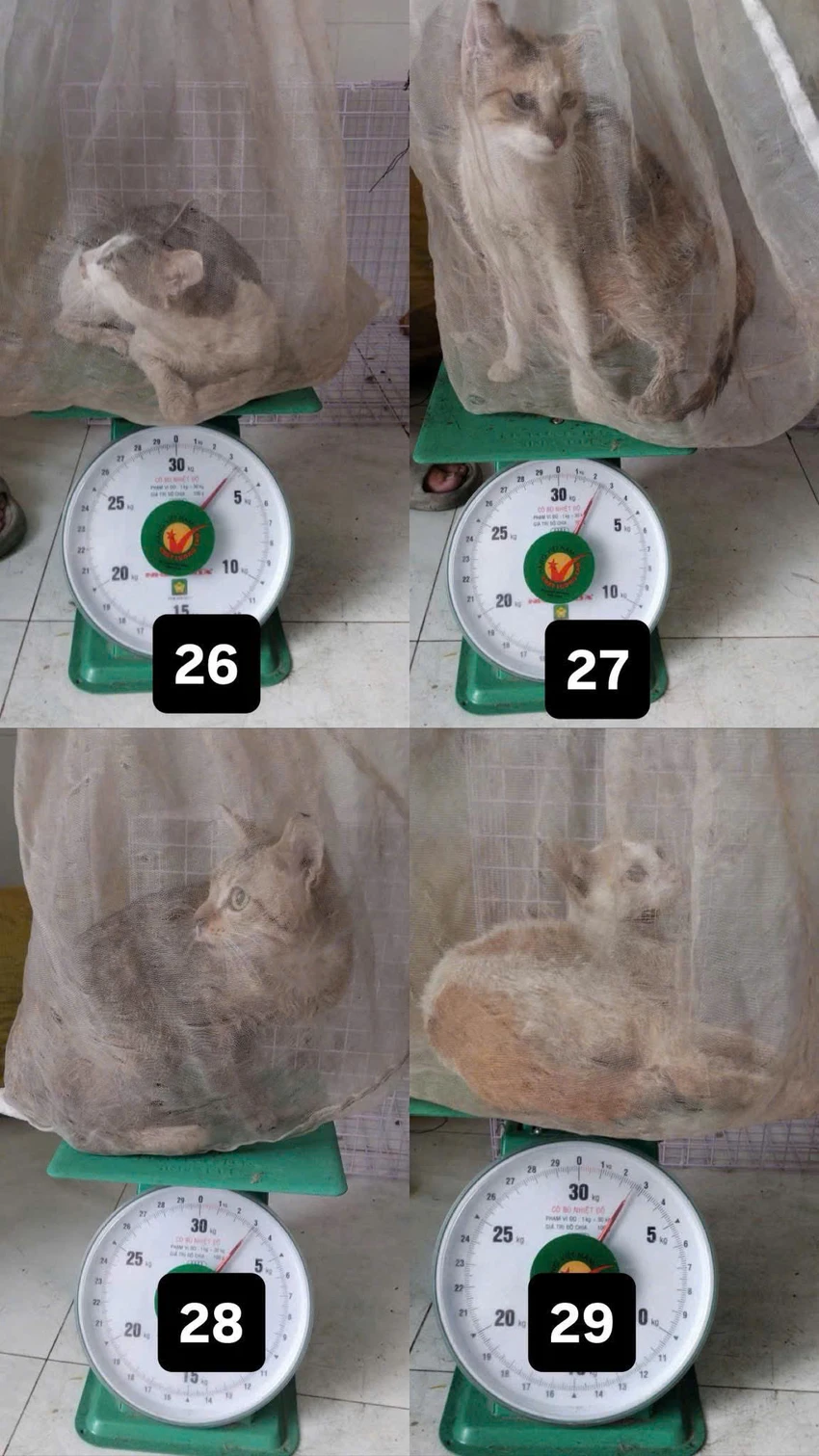z7479881652579_c3d6ee5d9126b4ac15201485631396d7.jpg