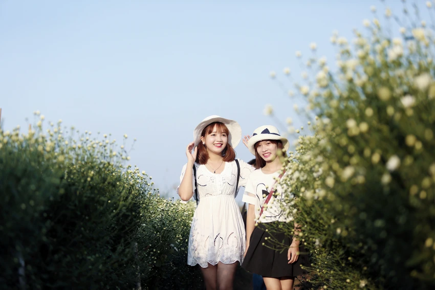 Thiếu nữ Hà thành 'đọ sắc' cùng hoa cúc họa mi ảnh 7 Thiếu nữ Hà thành 'đọ sắc' cùng hoa cúc họa mi ảnh 7