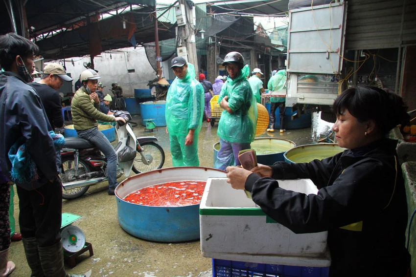Nhộn nhịp chợ cá những ngày cúng ông Công, ông Táo ảnh 12 Nhộn nhịp chợ cá những ngày cúng ông Công, ông Táo ảnh 12