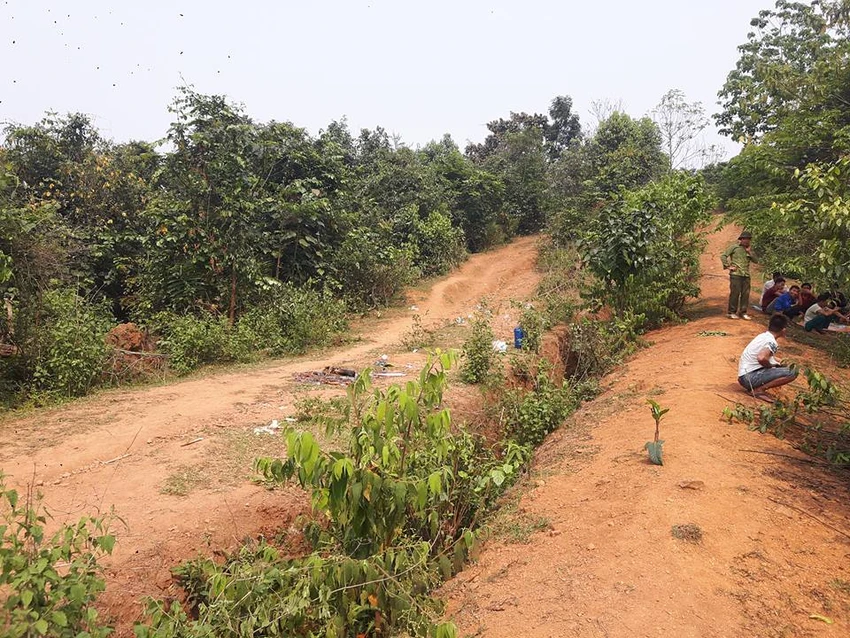 Cô giáo mầm non tương lai đi chăn bò nghi bị sát hại ảnh 1 Cô giáo mầm non tương lai đi chăn bò nghi bị sát hại ảnh 1