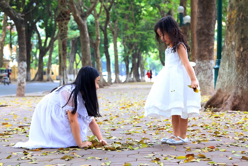 Hà Nội: Say đắm với mùa lá rụng ảnh 7 Hà Nội: Say đắm với mùa lá rụng ảnh 7