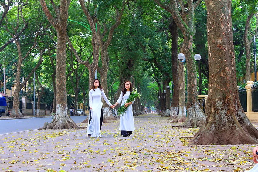 Hà Nội: Say đắm với mùa lá rụng ảnh 6 Hà Nội: Say đắm với mùa lá rụng ảnh 6