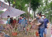 Hoa đào đất Bắc bung nở rực rỡ hút khách Sài thành