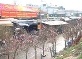Video: Không khí Tết tràn ngập khắp phố phường Hà Nội