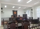 Thiếu niên 17 tuổi lãnh án 13 năm tù vì hiếp dâm người 9 tuổi