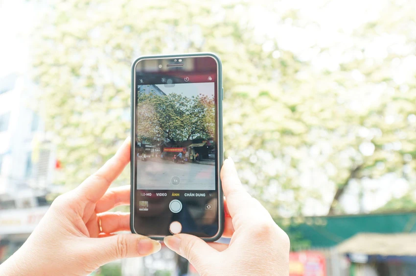 Nhiều người dân đi qua đây đã ghé lại chụp lưu niệm trước vẻ đẹp cuốn hút của cây bún. Nhiều người dân đi qua đây đã ghé lại chụp lưu niệm trước vẻ đẹp cuốn hút của cây bún.