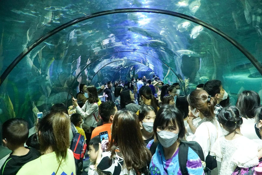 Thủy cung Times City, thuộc địa bàn quận Hai Bà Trưng (Hà Nội) đang thu hút rất nhiều người dân trong dịp nghỉ lễ.