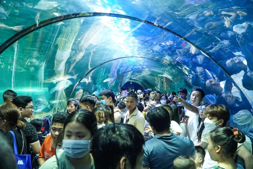 Hà Nội: Hàng vạn người tham quan thủy cung lớn nhất cả nước dịp nghỉ lễ ảnh 2