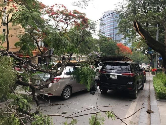 Hiện trường vụ việc. Ảnh CTV Hiện trường vụ việc. Ảnh CTV