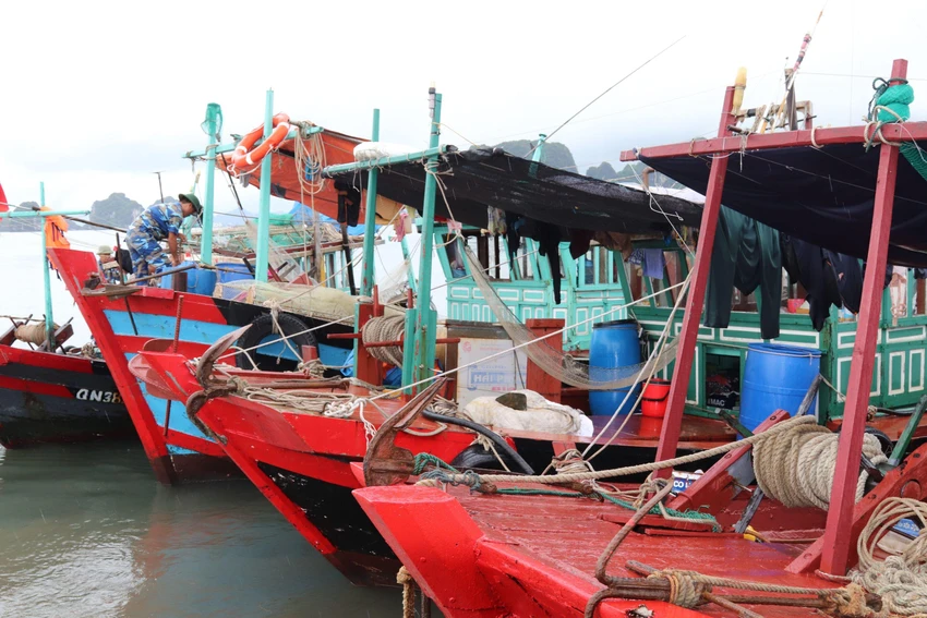 Công tác kêu gọi, sắp xếp tàu thuyền vào nơi tránh trú an toàn được Bộ đội Biên phòng tỉnh Quảng Ninh chuẩn bị chu đáo. Ảnh LÊ ĐỒNG Công tác kêu gọi, sắp xếp tàu thuyền vào nơi tránh trú an toàn được Bộ đội Biên phòng tỉnh Quảng Ninh chuẩn bị chu đáo. Ảnh LÊ ĐỒNG