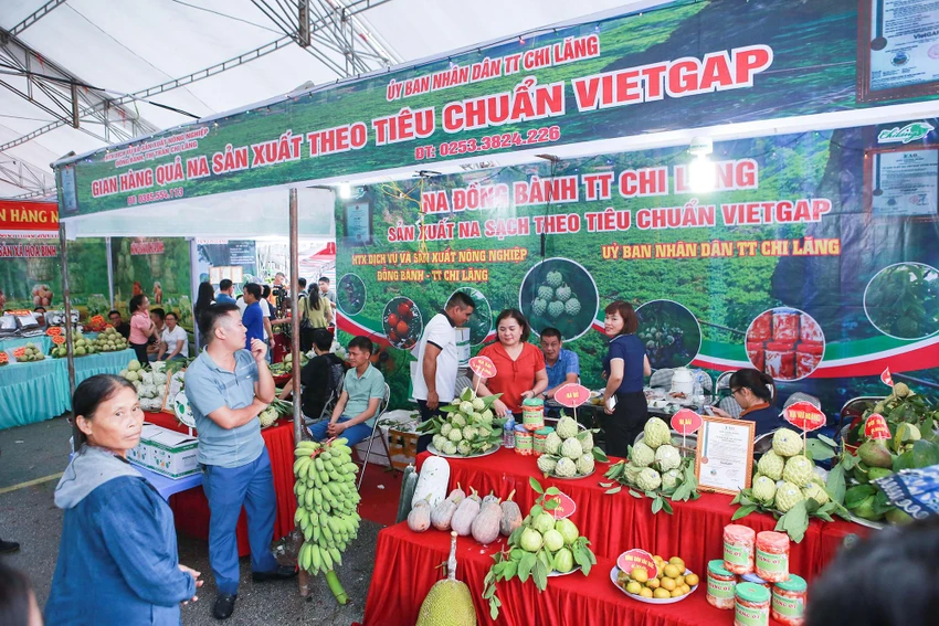 Phát biểu tại buổi lễ, ông Lương Trọng Quỳnh, Phó Chủ tịch UBND tỉnh Lạng Sơn đã nhấn mạnh, cấp ủy, chính quyền huyện Chi Lăng cần chủ động và quyết tâm cao trong thực hiện tái cơ cấu nông nghiệp theo tinh thần chỉ đạo chung của Chính phủ, của tỉnh. Đồng thời, tập trung nguồn lực phát triển các cơ sở sơ chế, chế biến sản phẩm nông sản trên địa bàn; đẩy mạnh liên kết sản xuất và tiêu thụ sản phẩm, tạo chuỗi liên kết sản xuất để nâng cao chất lượng, giá trị sản phẩm; tăng cường quảng bá, xúc tiến tiêu thụ sản phẩm, tập trung phát triển kinh tế nông nghiệp thay vì sản xuất nông nghiệp.