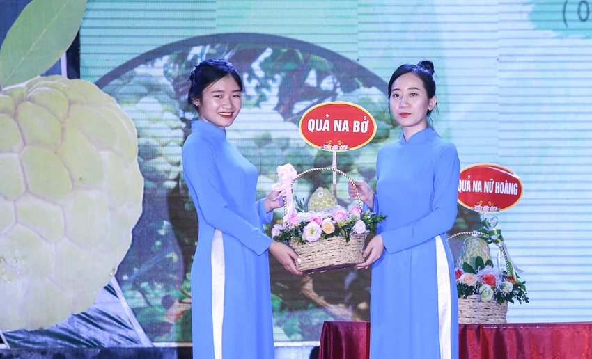 Nhân dịp này, 3 quả na đạt chất lượng tốt nhất đã được đấu giá thành công trực tiếp tại hội chợ với tổng trị giá 159 triệu đồng, cụ thể: 1 quả na Nữ Hoàng với giá 20 triệu đồng; 1 quả na bở với giá 50 triệu đồng; 1 quả na dai trị giá 89 triệu đồng.