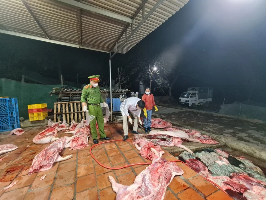 Thời điểm cơ quan chức năng kiểm tra tại cơ sở. Ảnh CACC