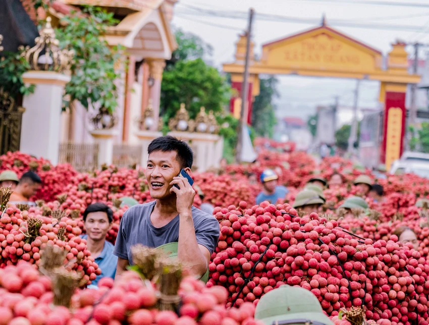 Bắt đầu từ 5 giờ, những thùng hàng chất đầy vải được vận chuyển ra các điểm thu mua. Bắt đầu từ 5 giờ, những thùng hàng chất đầy vải được vận chuyển ra các điểm thu mua.