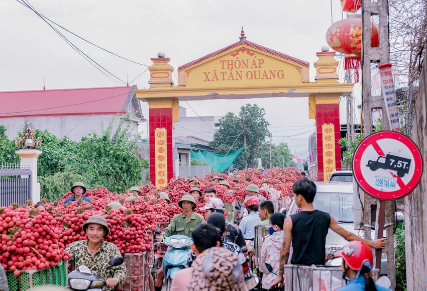 Cảnh dòng người xếp hàng chen chúc tại tuyến đường Thôn Áp, xã Tân Quang. Cảnh dòng người xếp hàng chen chúc tại tuyến đường Thôn Áp, xã Tân Quang.