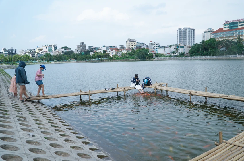 Trước đây, khu vực hồ này vốn trồng sen tuy nhiên hiện đã được thay đổi mục đích sử dụng và thả cá Koi xuống. Trong thời gian trước mắt, đàn cá Koi hàng nghìn con này sẽ phục vụ mục đích tạo thành nơi thăm thú và vui chơi cho trẻ em dịp hè năm nay. Trước đây, khu vực hồ này vốn trồng sen tuy nhiên hiện đã được thay đổi mục đích sử dụng và thả cá Koi xuống. Trong thời gian trước mắt, đàn cá Koi hàng nghìn con này sẽ phục vụ mục đích tạo thành nơi thăm thú và vui chơi cho trẻ em dịp hè năm nay.