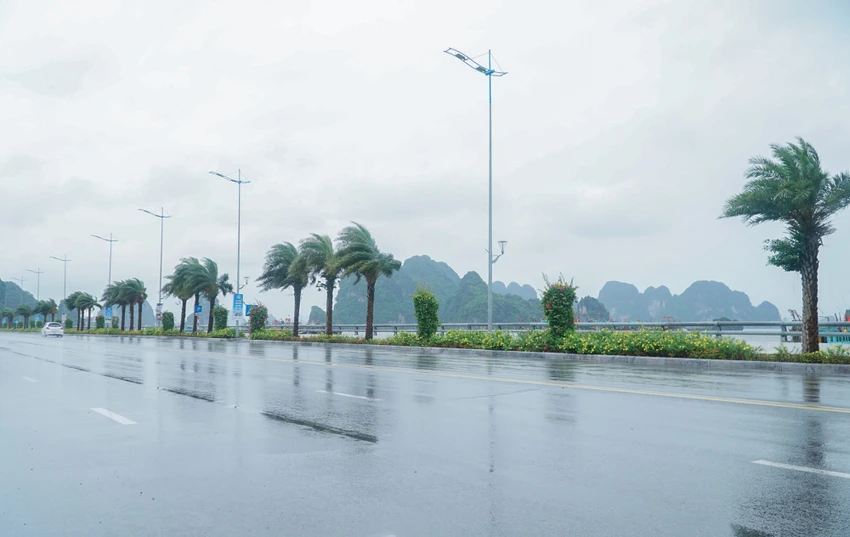 Do ảnh hưởng của bão số 1, tại vùng biển Cô Tô, Móng Cái, Hải Hà, Đầm Hà, đã có gió cấp 4-5, giật cấp 6-7. Toàn tỉnh Quảng Ninh có mưa, lượng mưa phổ biến 10-30 mm