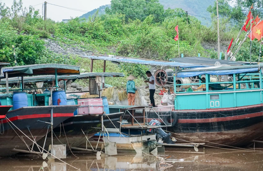 Trên thuyền, nhiều người dân đang chuẩn bị vá lại lưới cho những lần đánh cá tiếp theo. Trên thuyền, nhiều người dân đang chuẩn bị vá lại lưới cho những lần đánh cá tiếp theo.