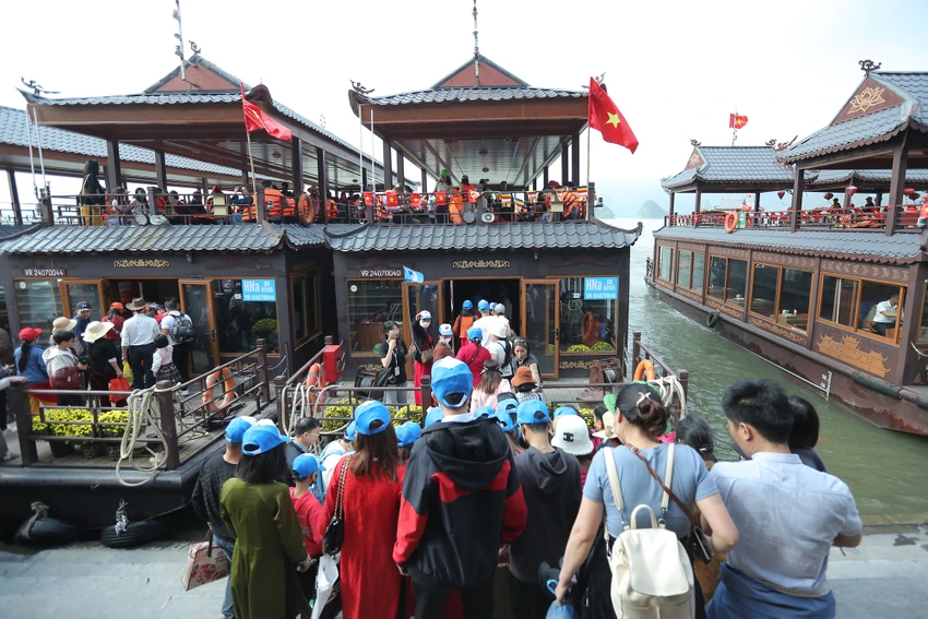 tam-chuc (13).jpg